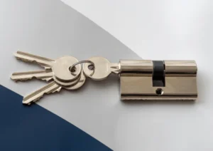 Cylindre de serrure neuf pour un changement de cylindre rapide et sécurisé.